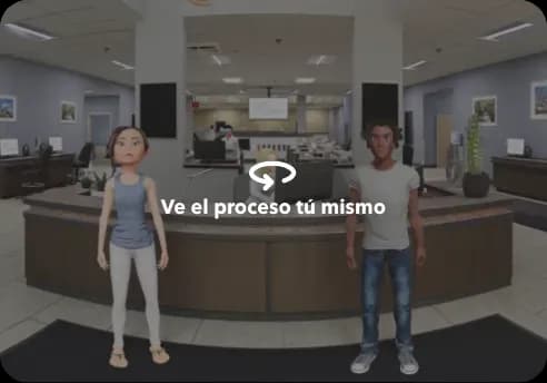 Vea el proceso usted mismo